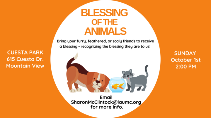 Blessing of the Animals. Bring your furry, feathered, or scaly friends to receive a blessing - recognizing the blessing they are to us! Cuesta Park - 615 Cuesta Drive, Mounntain View. Sunday, October 1, 2:00 pm. Email sharonmcclintock@laumc.org for more info.